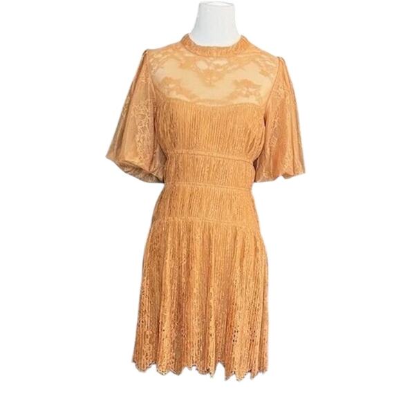 *NWT Jonathan SIMKHAI Bristol Mini Lace Butterscotch Orange Dress - Sz 8 - Picture 5 of 9